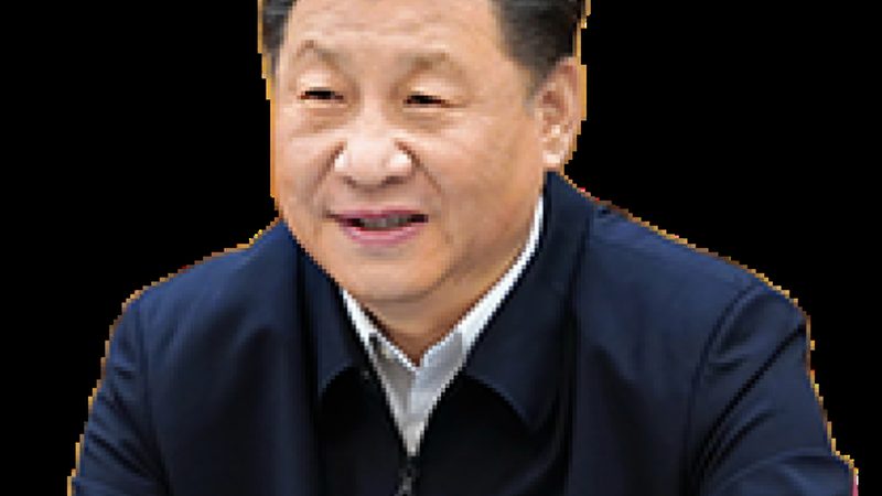 广东高分子材料厂家资质要求解析：合规之路，品质保障**